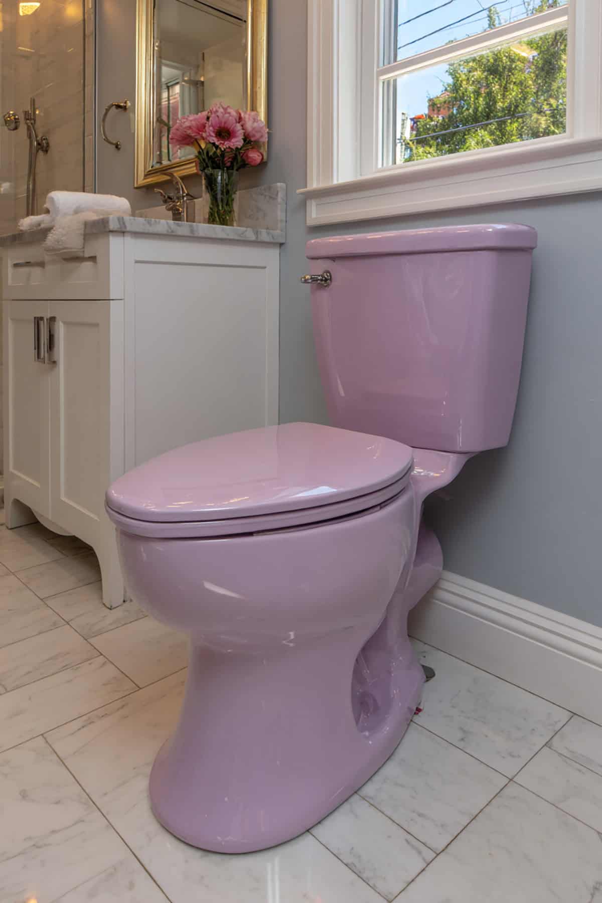 Lavender toilet