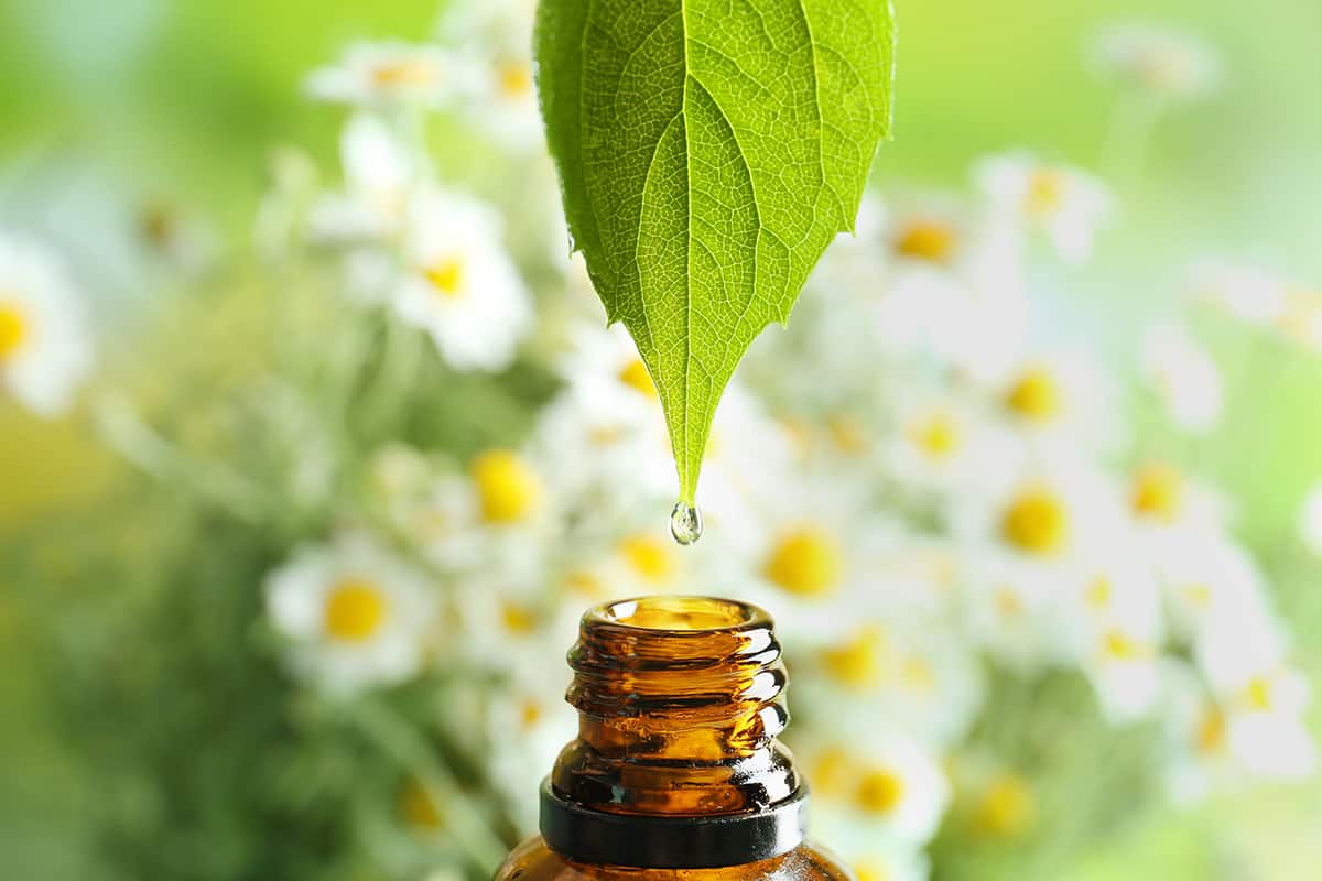 Essential Oils