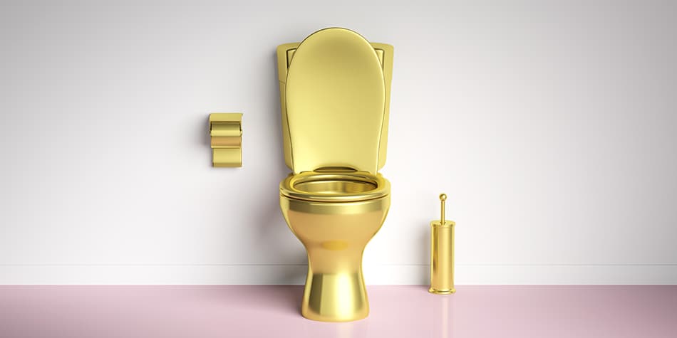 Gold Toilet