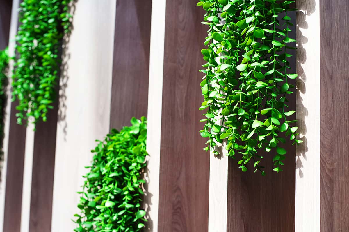 Plants on Column