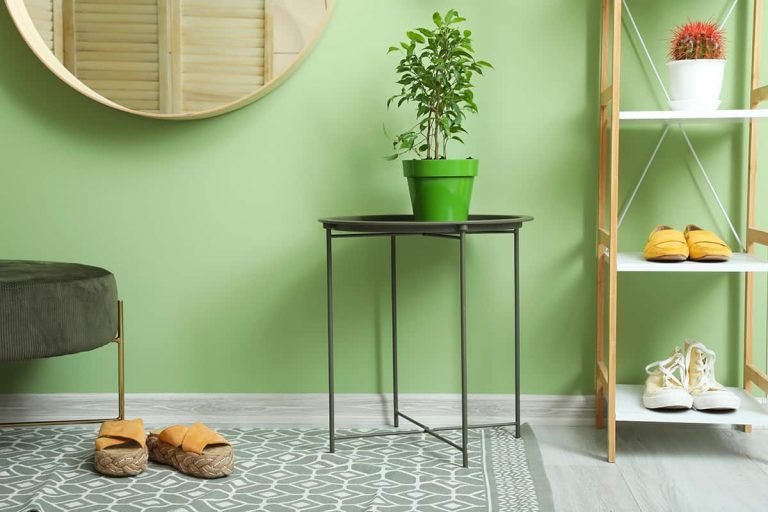 9 Great Rug Color for Grey Floors Homenish