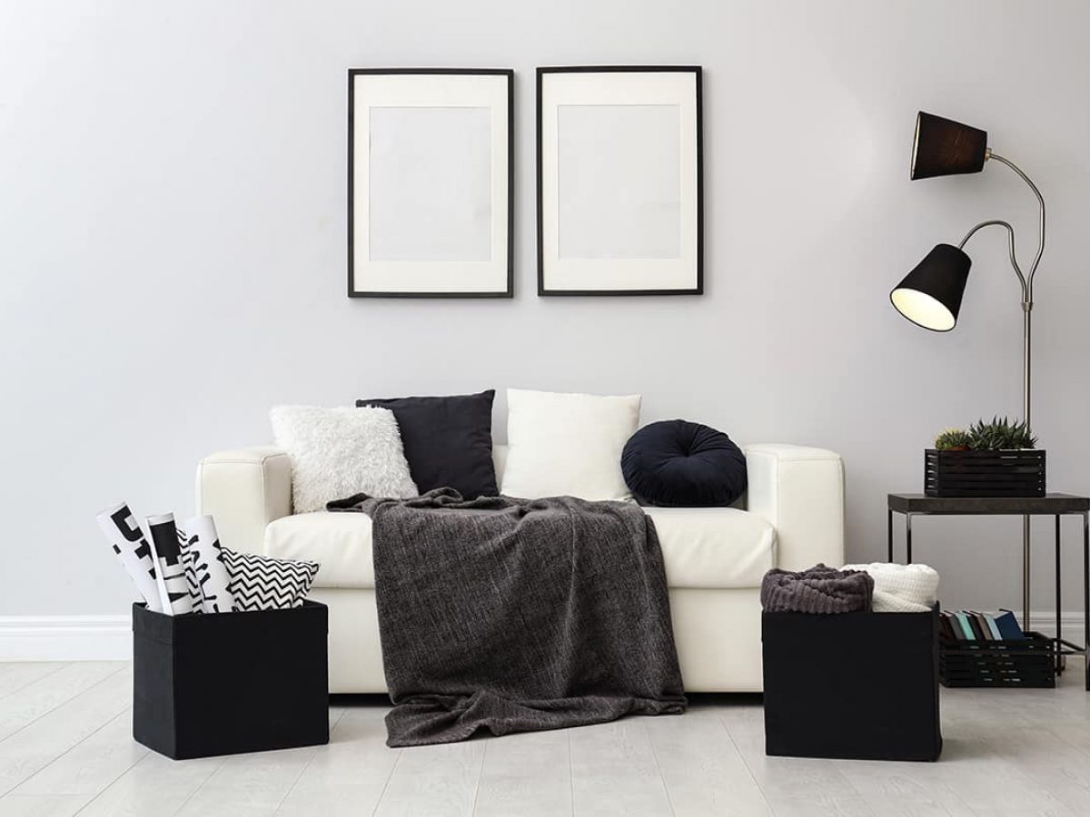 20 Sophisticated Black and White Living Room Ideas For Inspiration ...