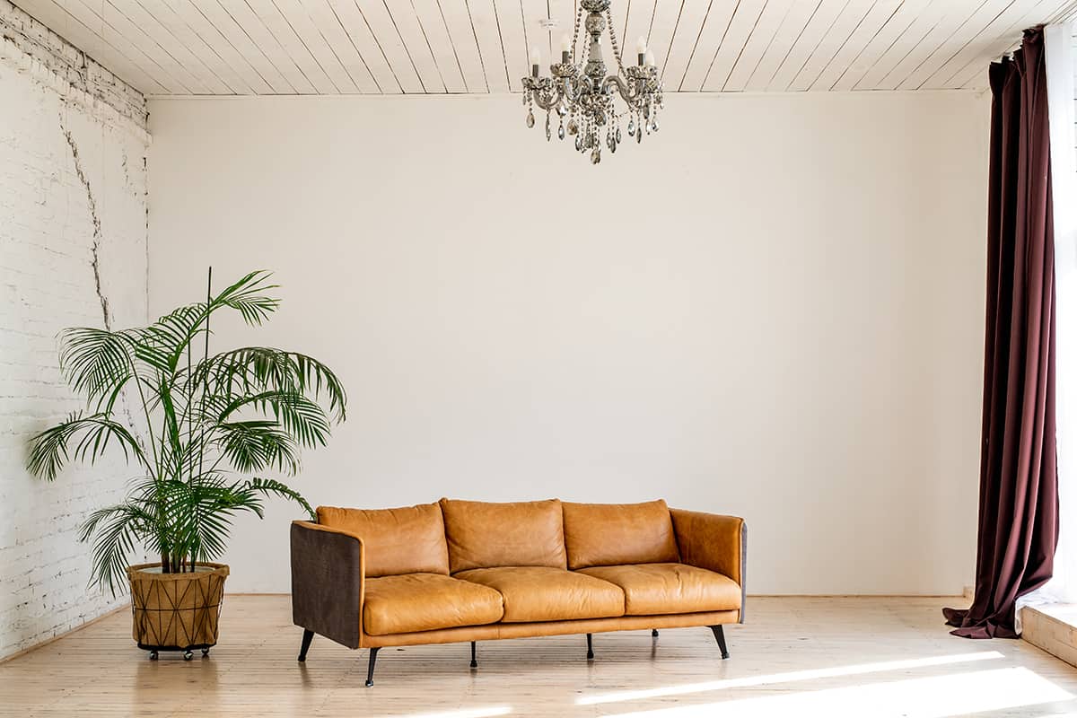 beige walls and brown sofa
