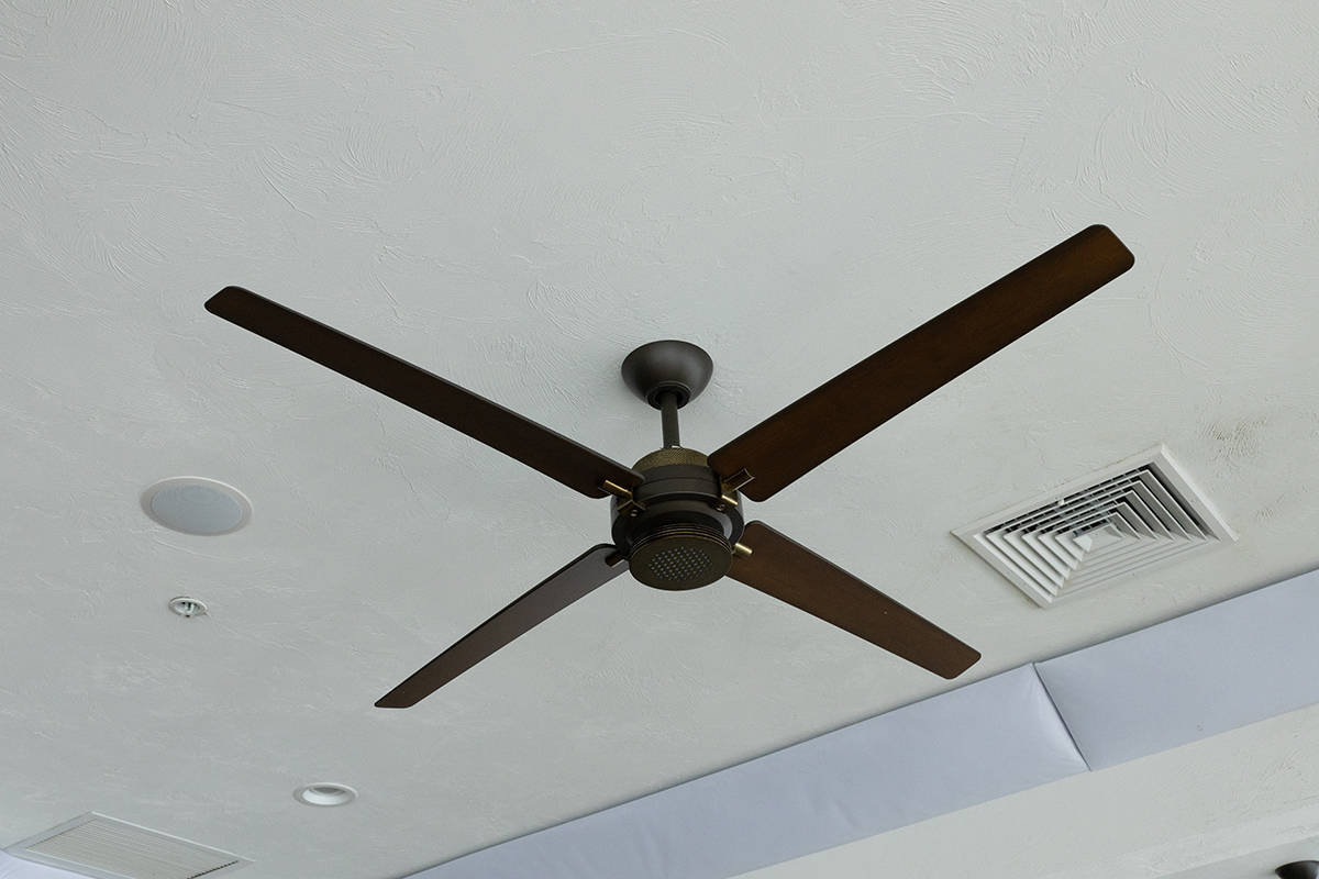 Black Ceiling Fan