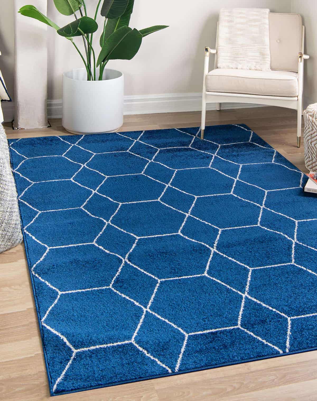 Blue Rug and Light Wooden Floors