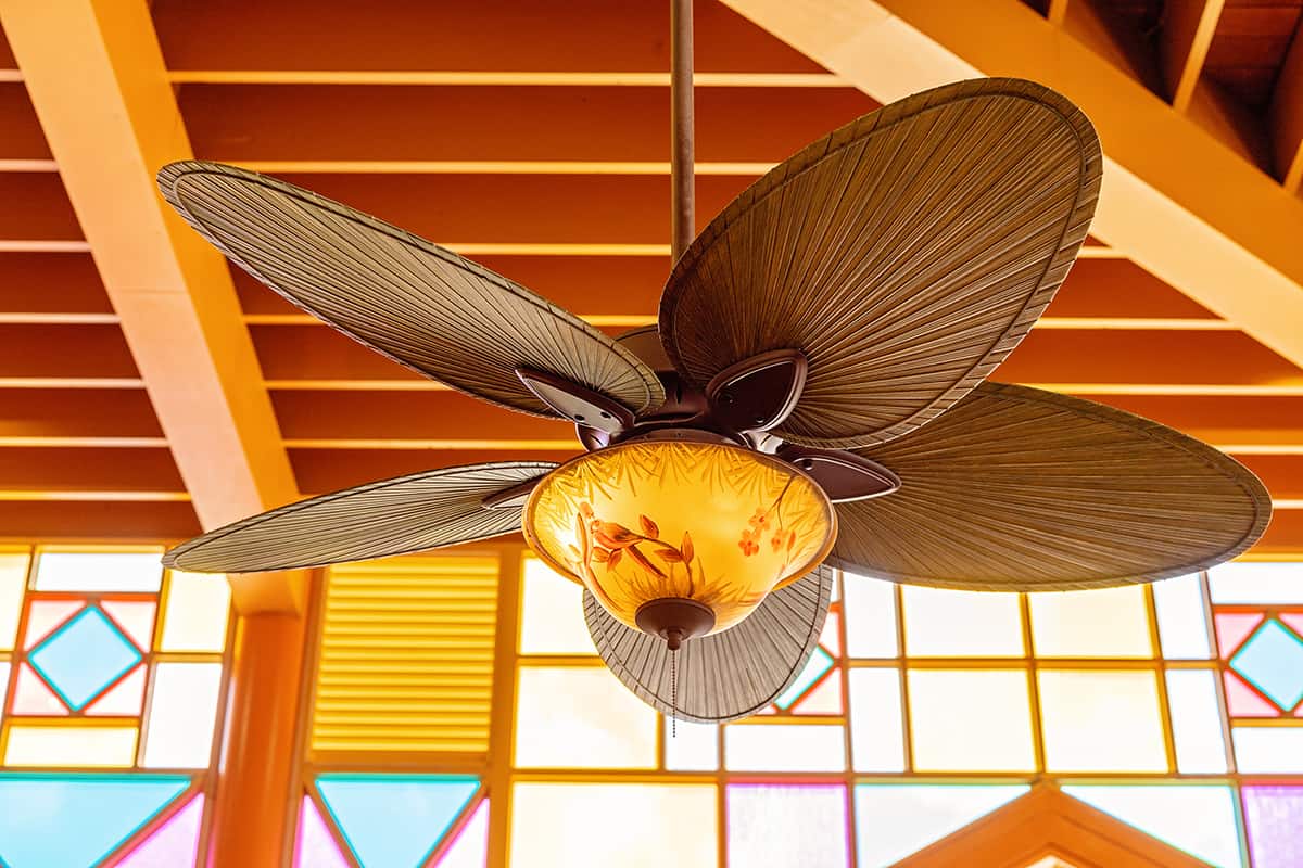 Ceiling Fan Colors