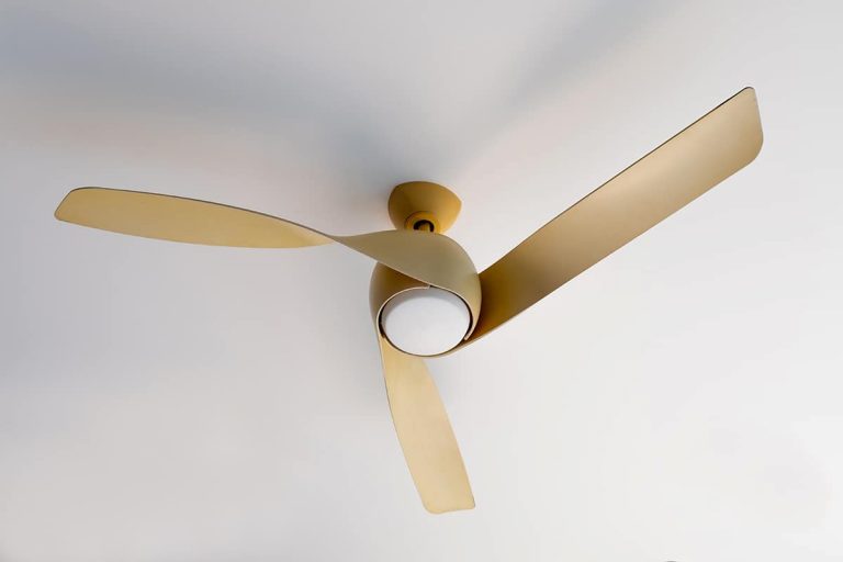 What Color Ceiling Fan Should You Get (Photos Included)? Homenish