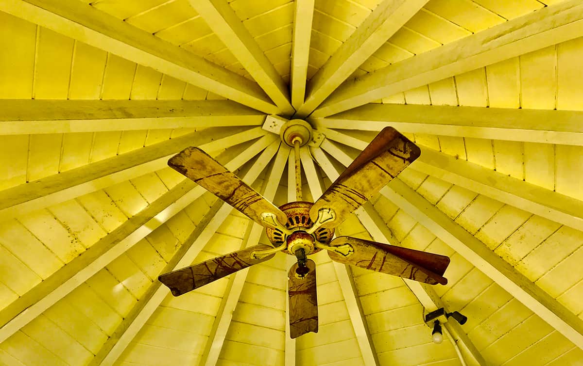 Gold ceiling fans