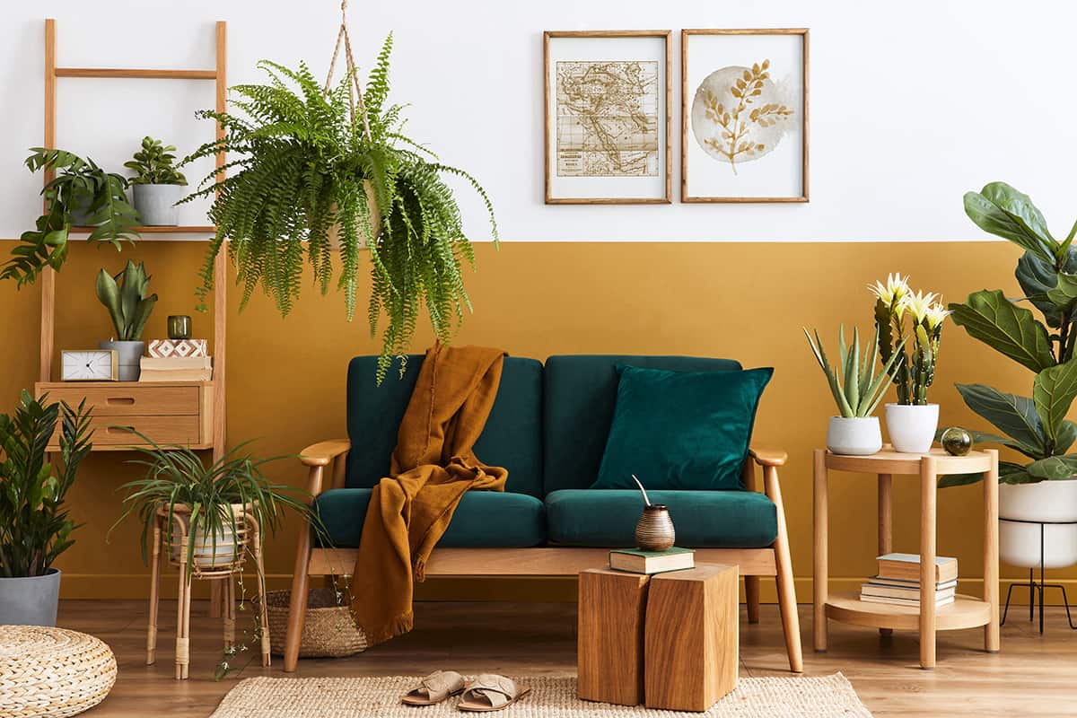 Green Furniture and Brown Walls