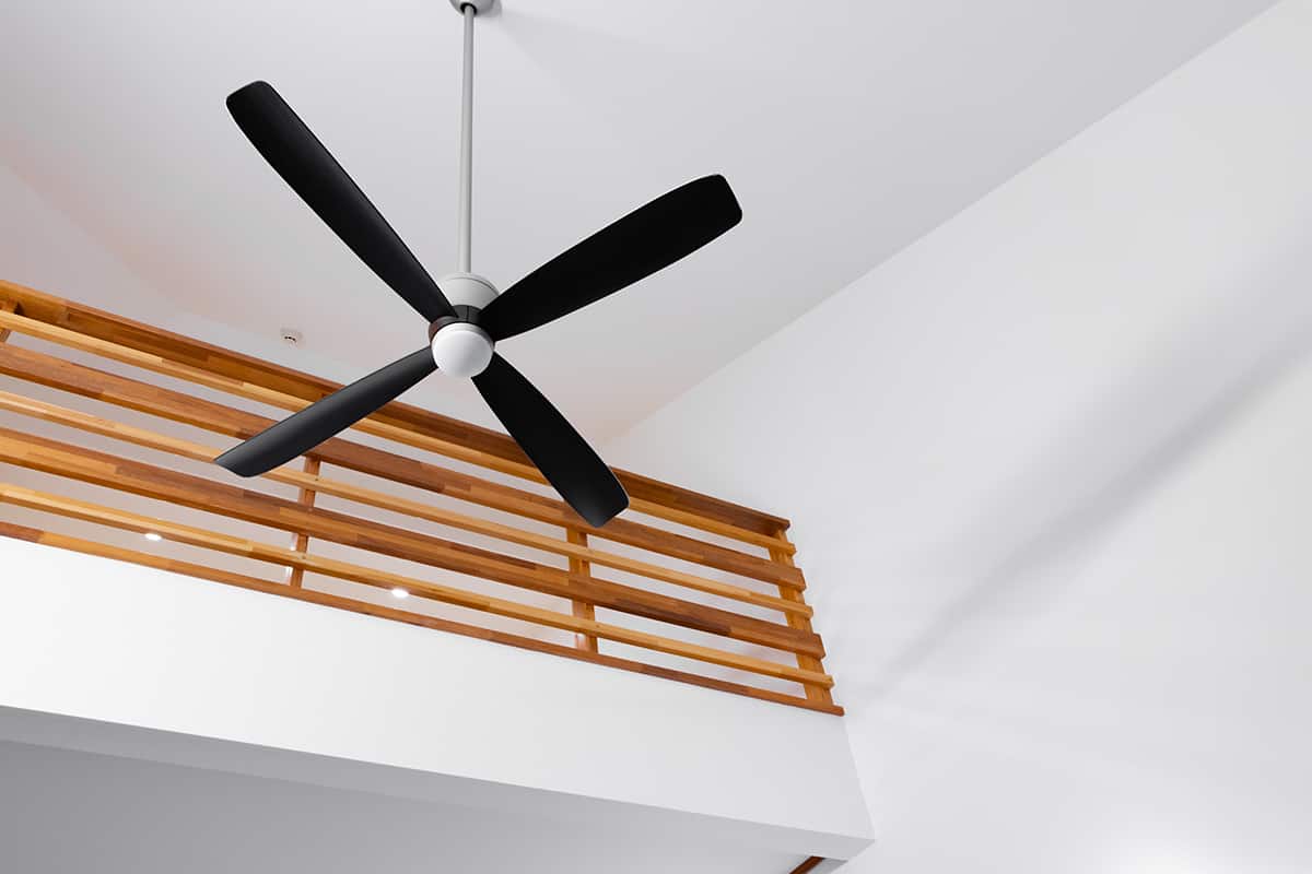 Modern ceiling fans