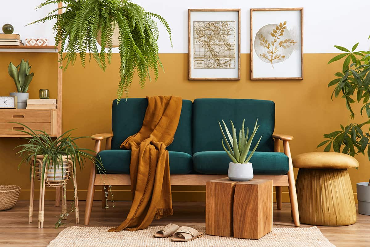 A green couch with nature theme