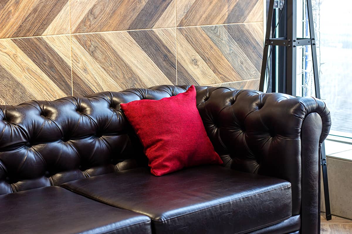 Red Pillow and Black Leather Couch