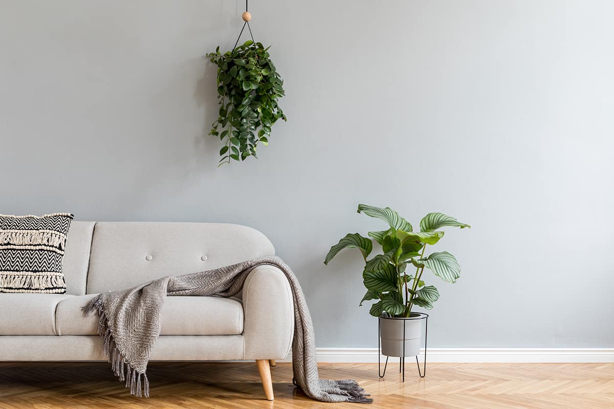 White Couch and Grey Walls