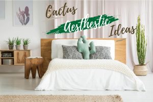 Cactus Aesthetic Ideas