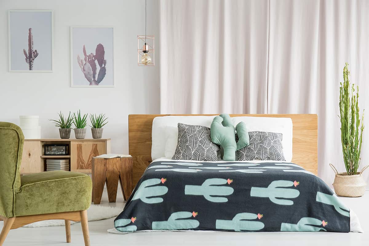 Choose Cactus Bedding