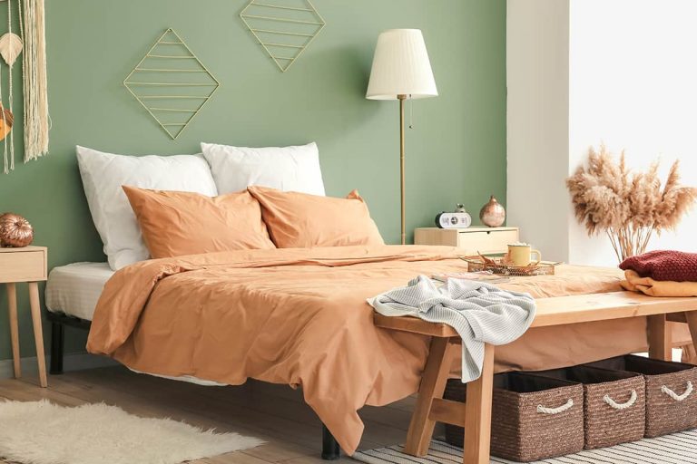 9 Great Colors that Go with Apricot (with Pictures) Homenish