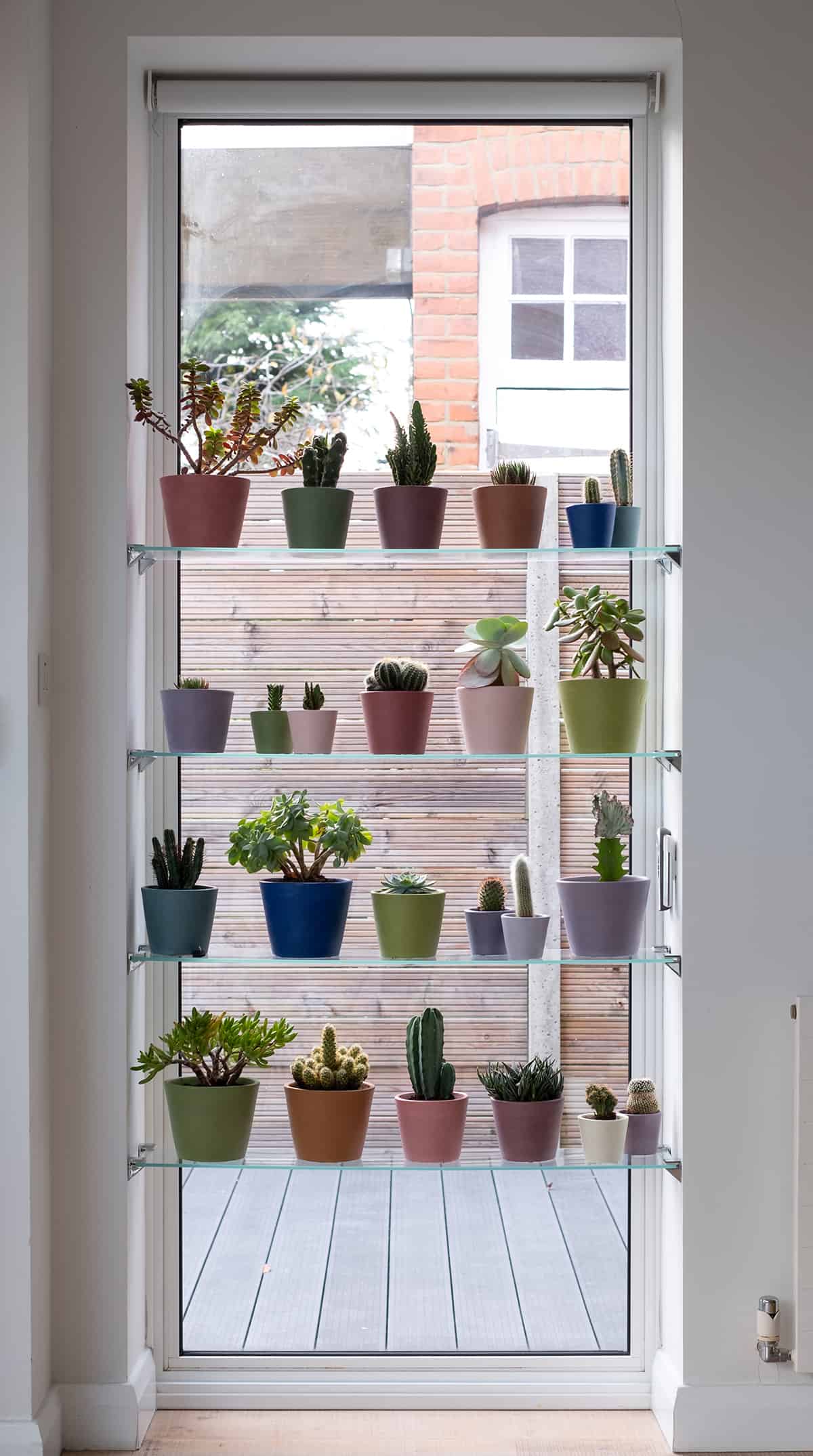 Place Some Cacti on the Window