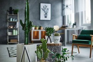 13 Trendy Cactus Aesthetic Ideas that Work in Any Room