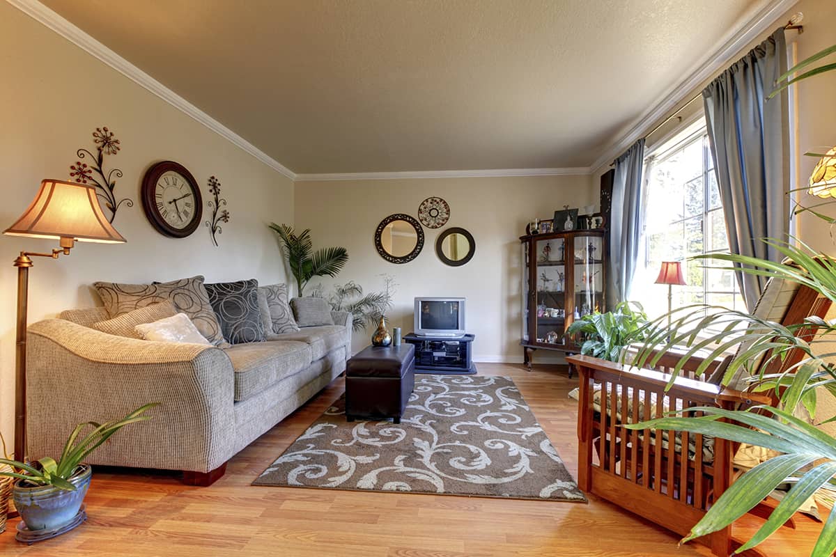 Narrow Living Room with Large Window