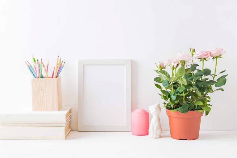 7 Colors that Go with Pastel Pink Homenish