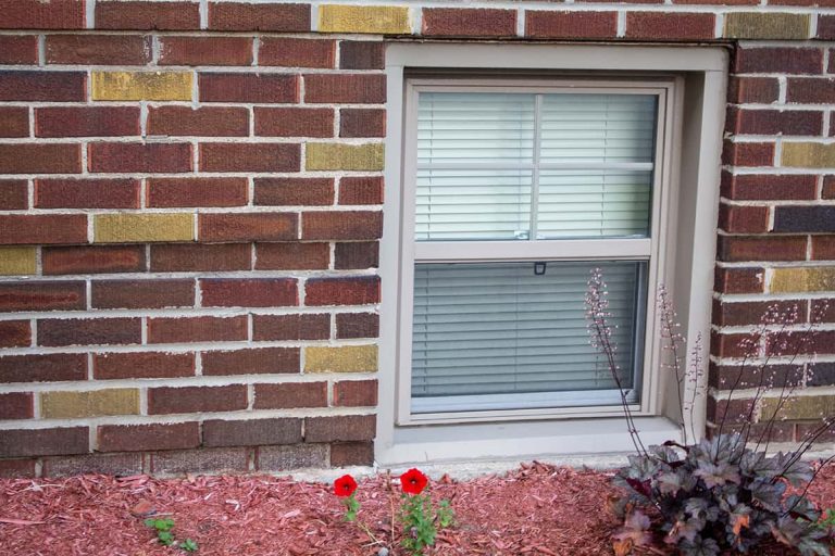 What Color Mulch Goes with A Red Brick House? Homenish