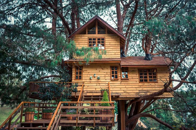 Treehouse With Color 9 Treehouse Color Ideas for a Homely Hideaway