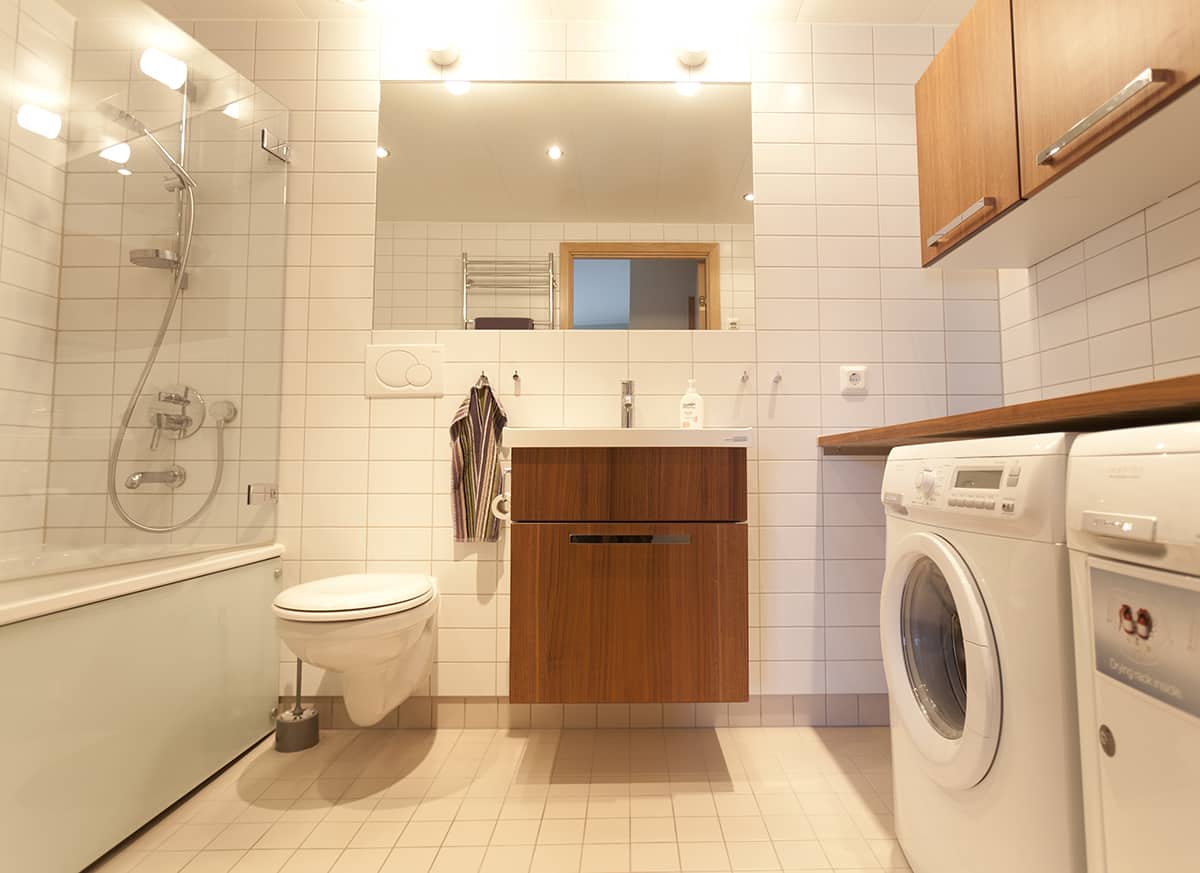 Large Bathroom and Laundry Room Layout