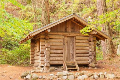 9 Log Cabin Door Colors for a Rustic Feel