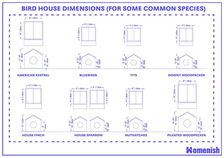 Bird House Dimensions and Guidelines (with Species Size Chart) Homenish