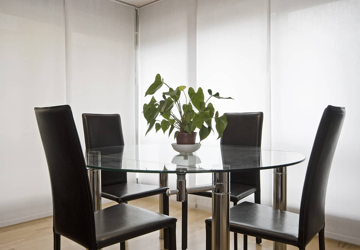 Glass Dining Table Houseplant