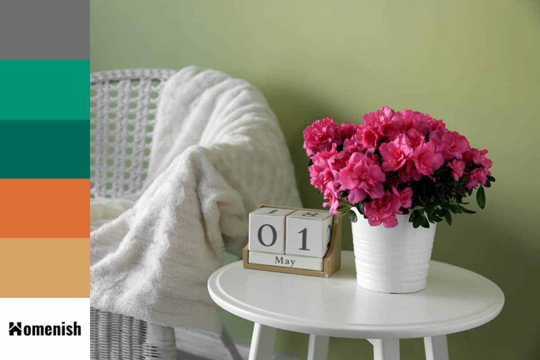 What Color is Azalea? Similar Colors What Colors go with Azalea?