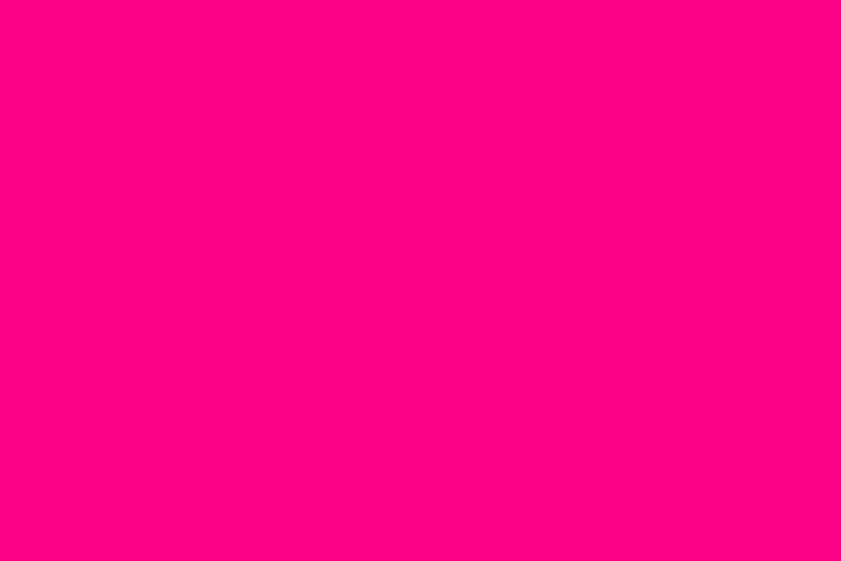 Hot pink Azelea