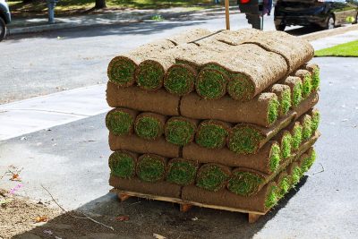 How Much Does a Pallet of Sod Cost at Home Depot