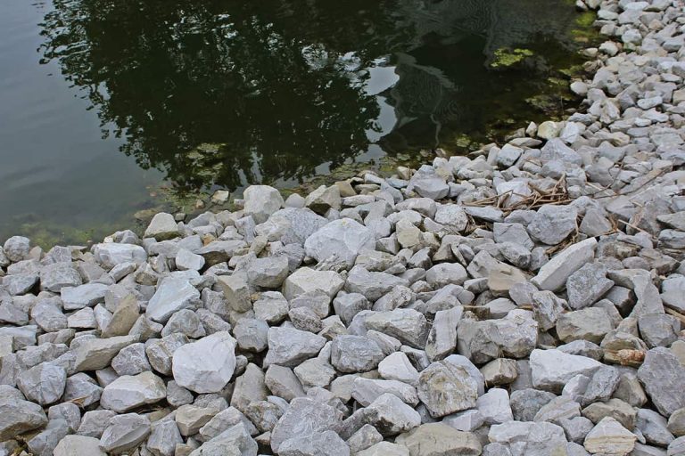 How Much Does a Truckload of River Rock Cost? Homenish