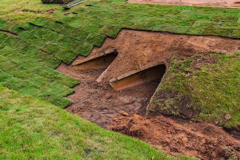 How Much Does a Pallet of Sod Cost at Home Depot? Homenish