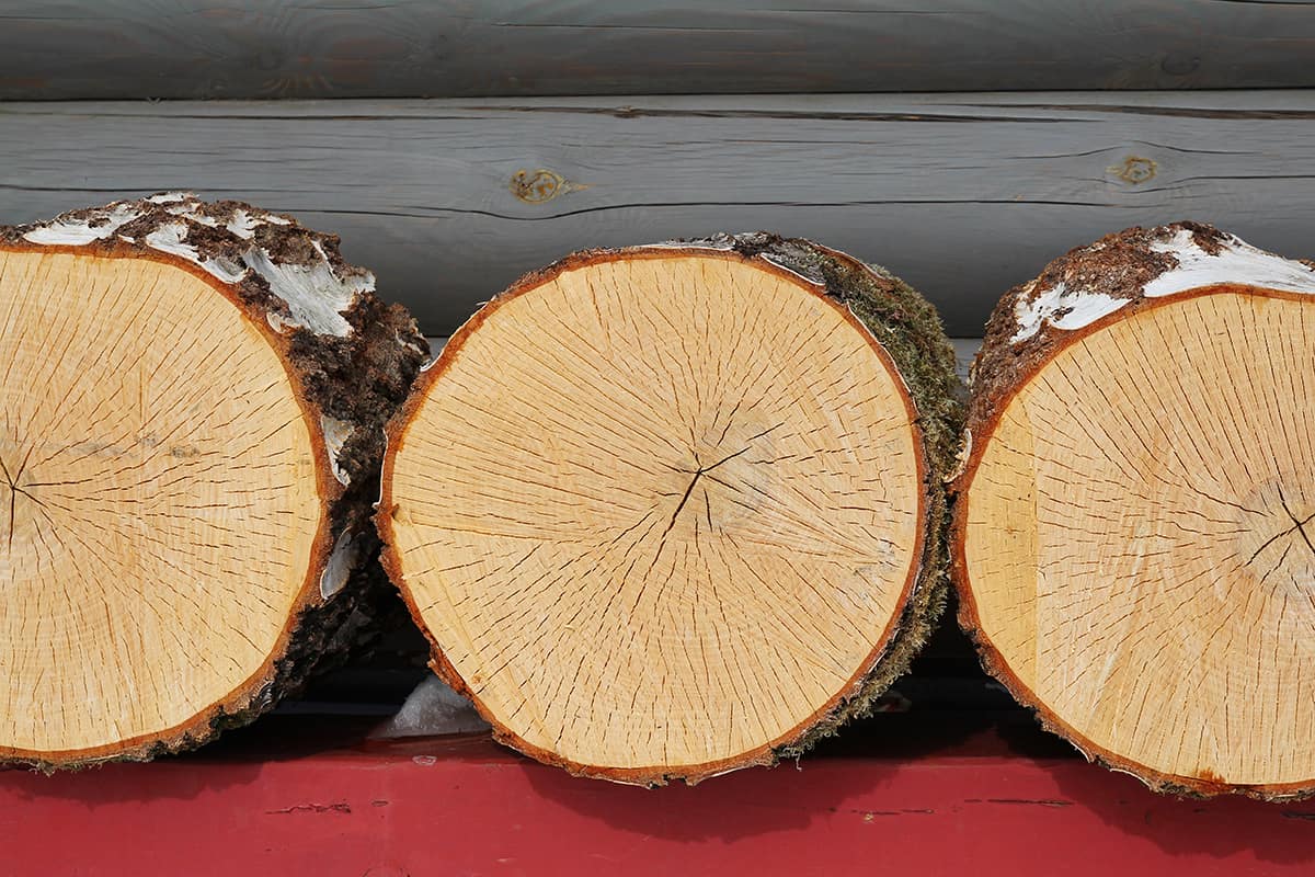 Types of Maple Wood