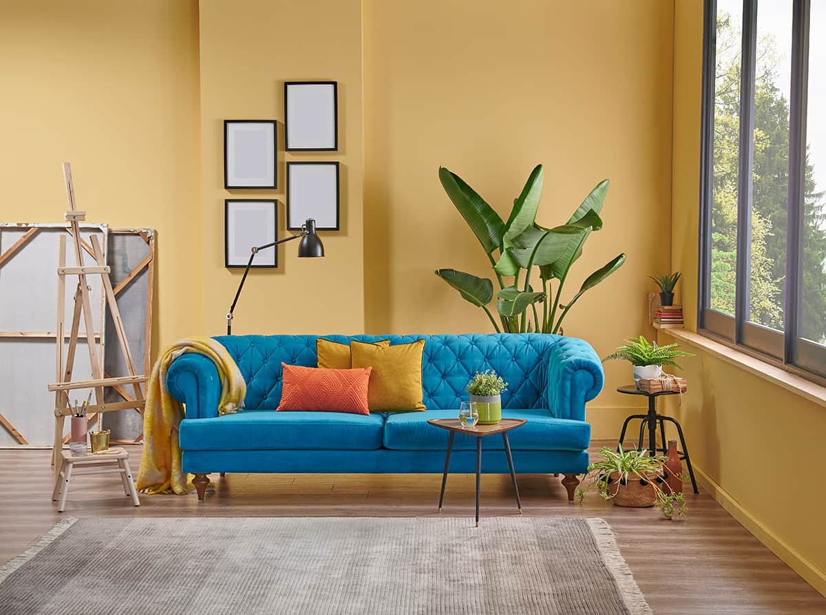 Yellow Blue furniture