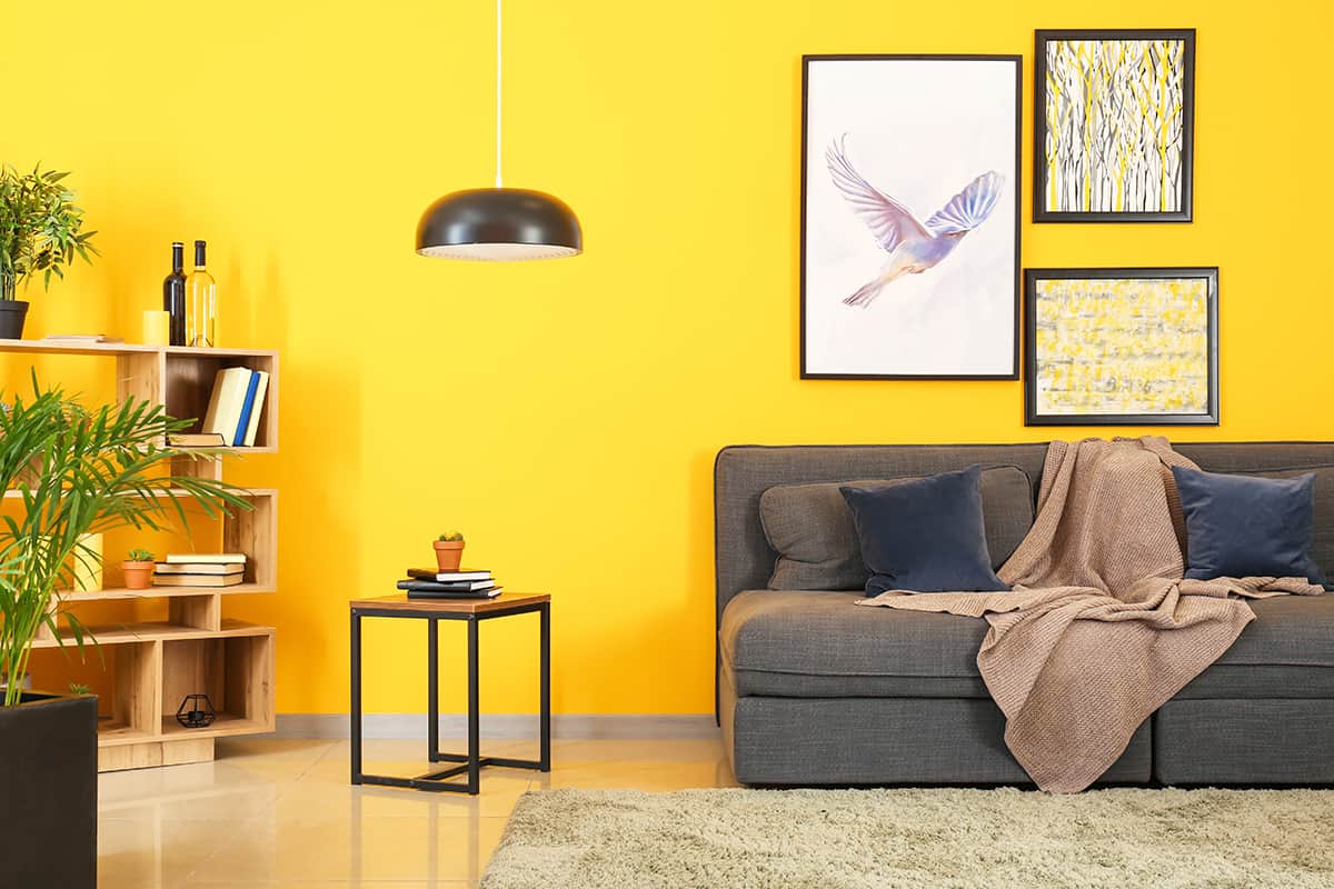 Yellow gray furniture