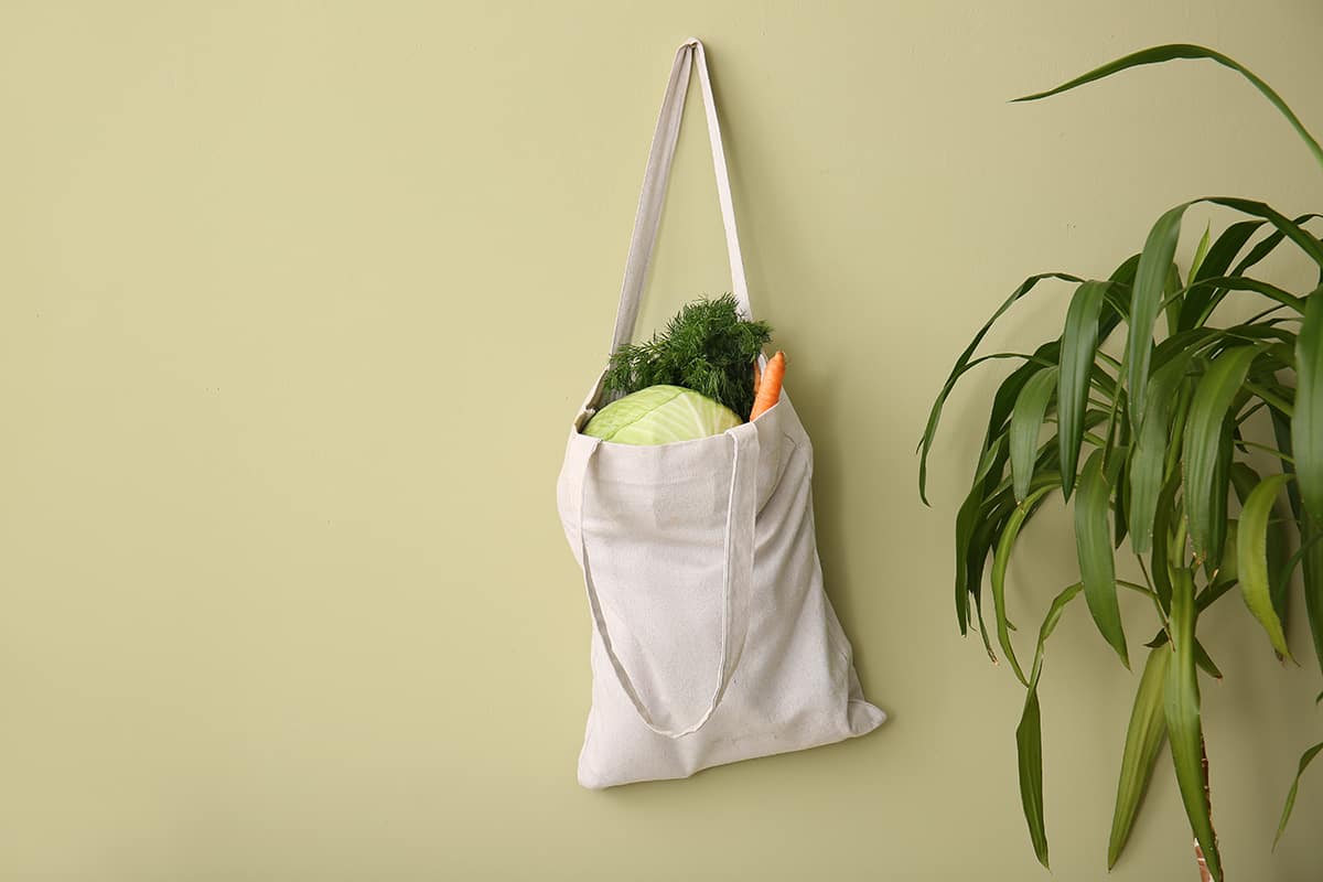 How to Reuse Grocery Bags