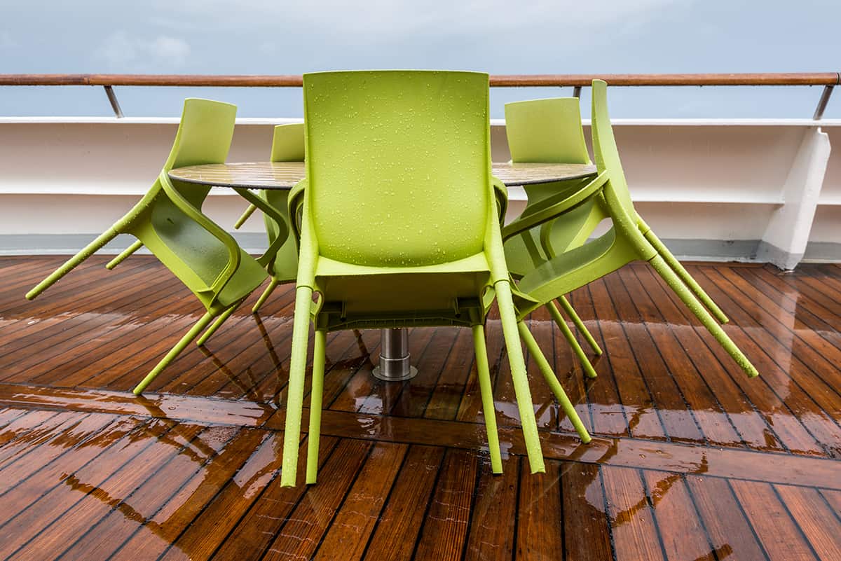 Lime green redwood