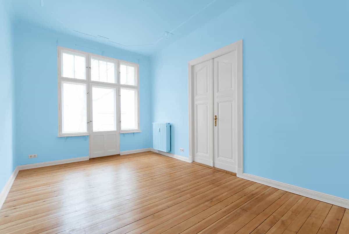 What Color Is Cornflower Colors That Go With Cornflower Homenish