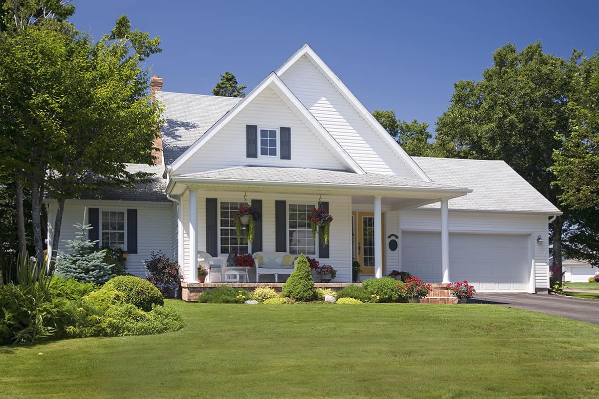 White White Roof