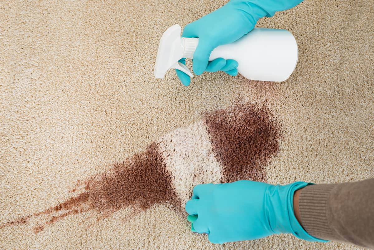 Carpet Cleaner Sprays