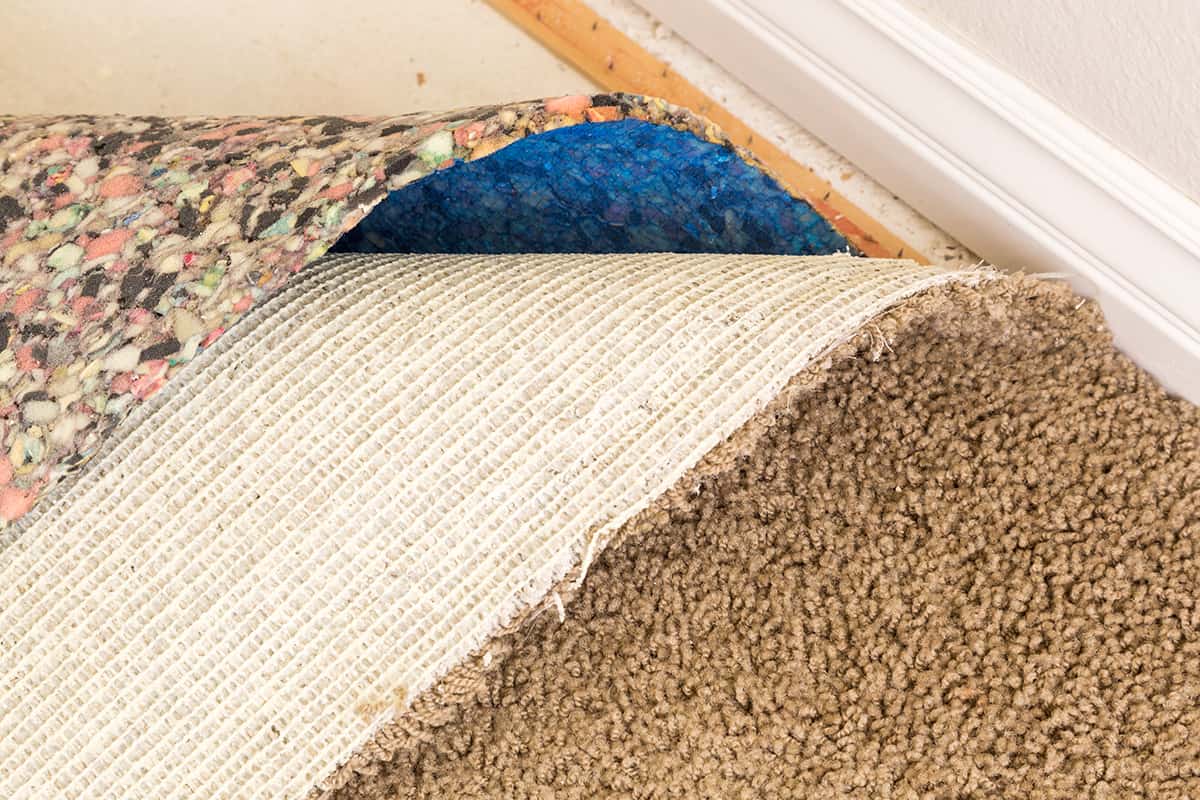 Carpet Padding Cost