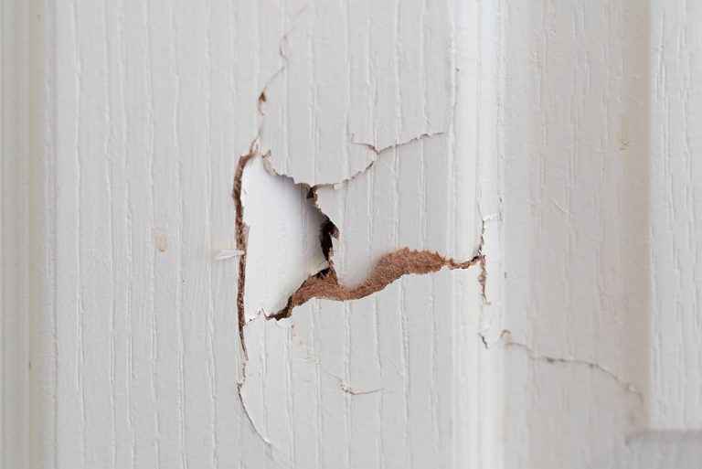 How To Fix A Cracked Door Homenish