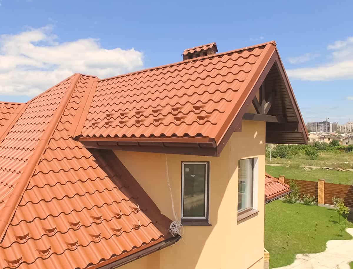 Marigold Yellow Orange Roof