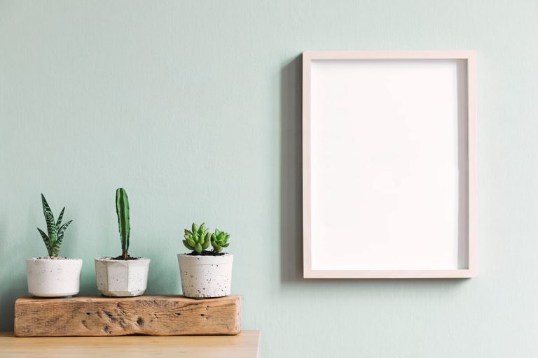 Colors that Go with Green and Brown (4 Excellent Combinations) Homenish