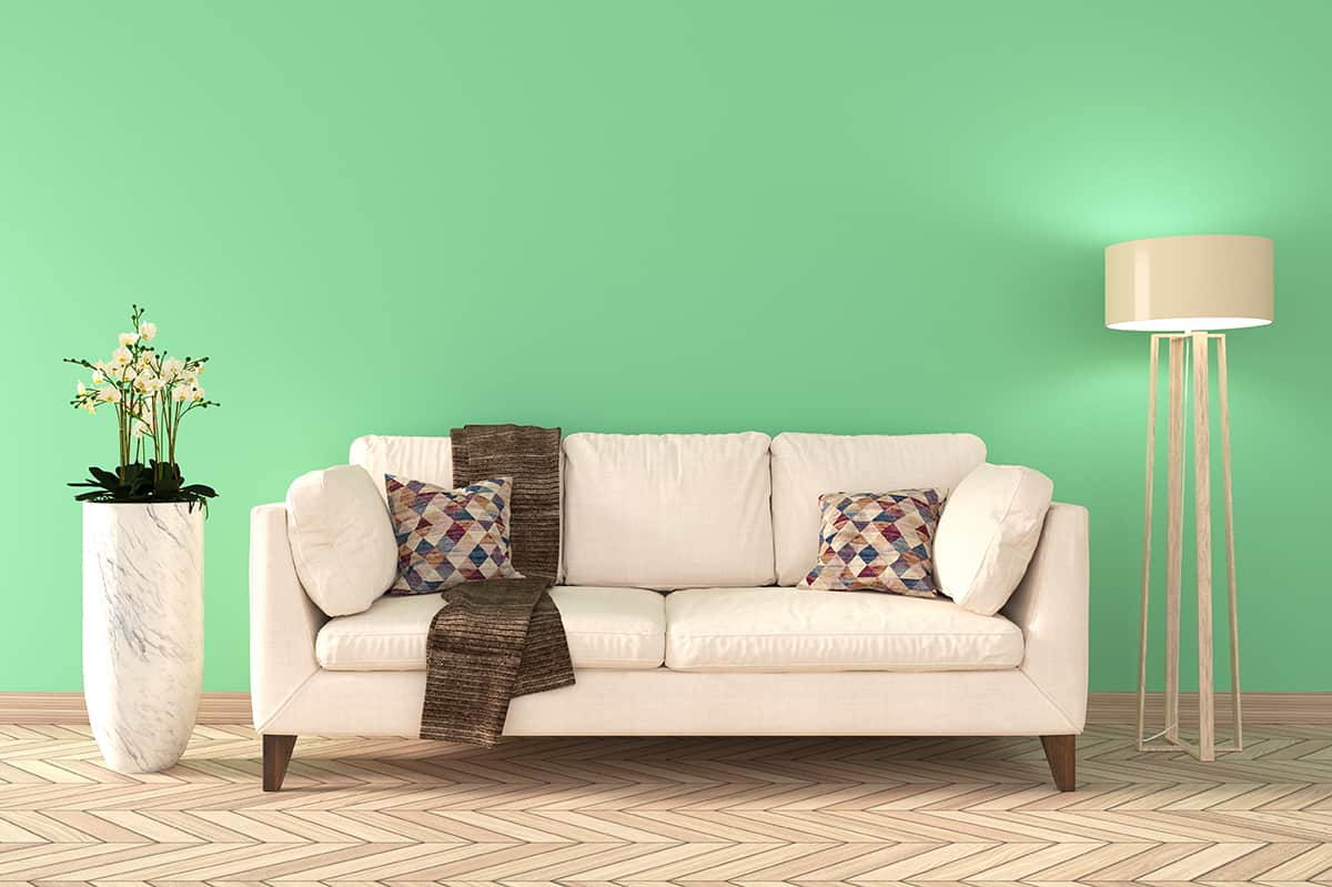 Green Wall and Cream Furniture