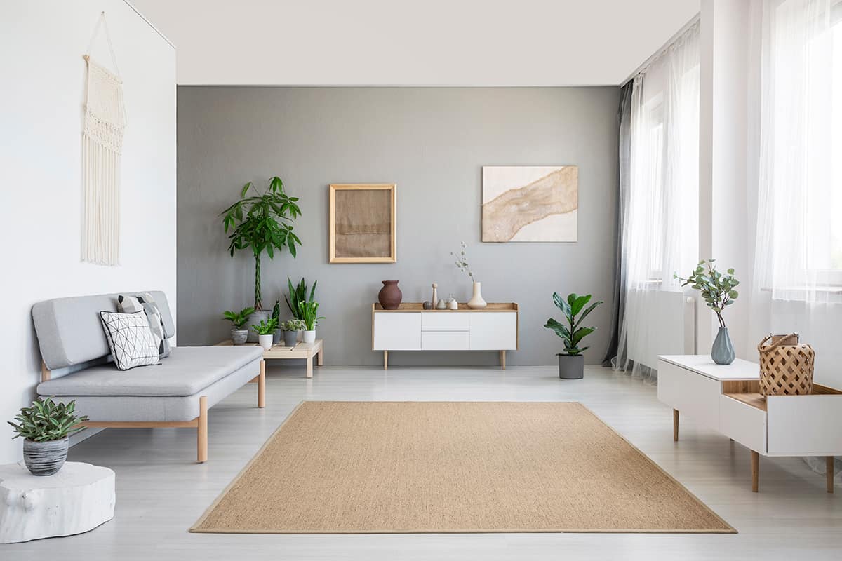Gray Wall Paint that work with Brown Carpet