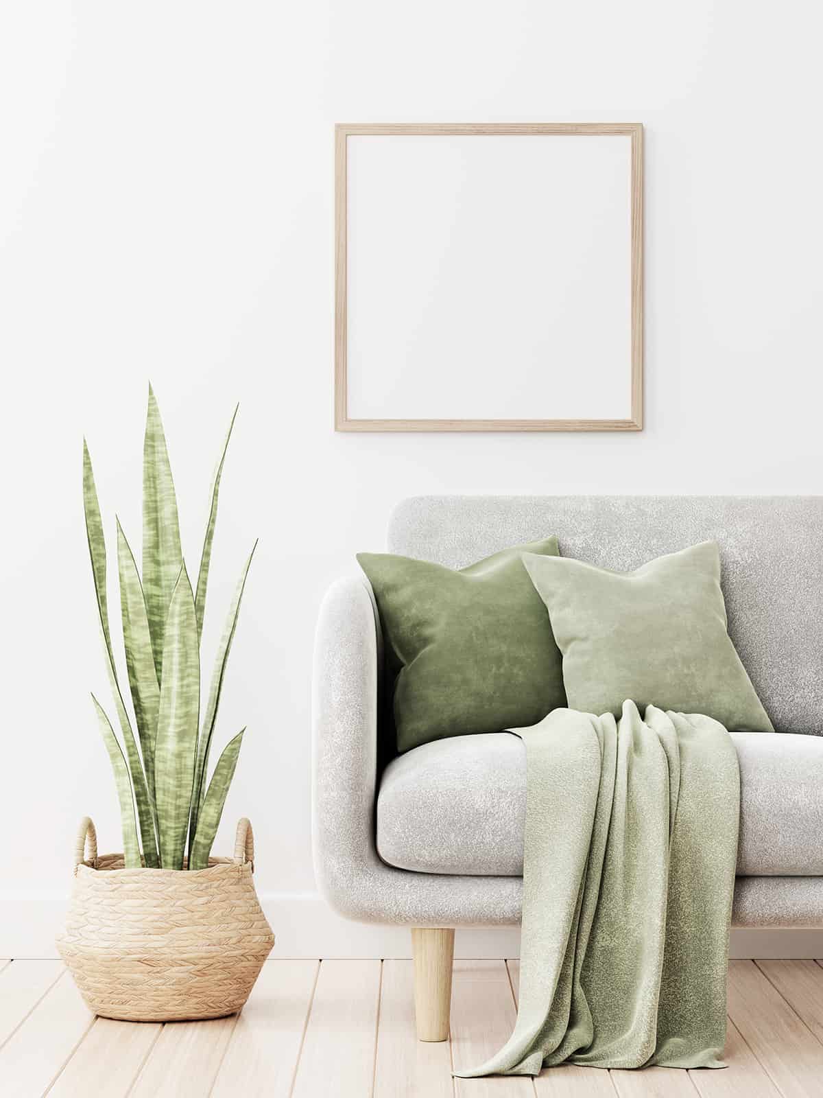 Green Throw Blanket for A Gray Couch